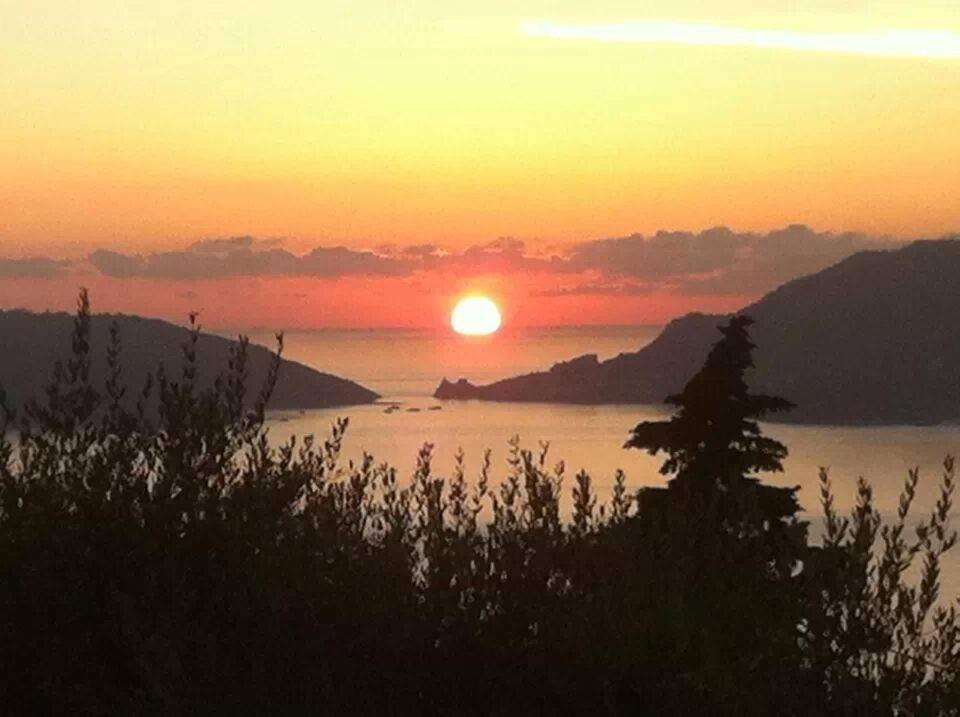 Hotel Del Golfo Lerici Rum bild